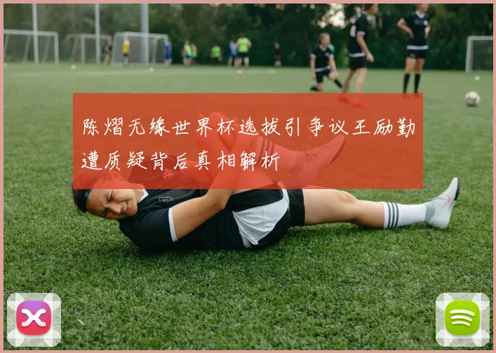 陈熠无缘世界杯选拔引争议王励勤遭质疑背后真相解析